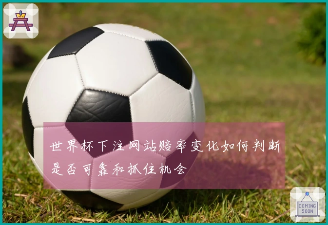 世界杯下注网站赔率变化如何判断是否可靠和抓住机会