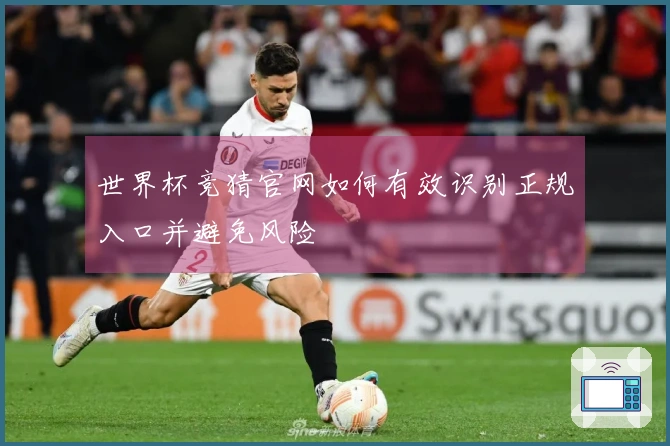 世界杯竞猜官网如何有效识别正规入口并避免风险