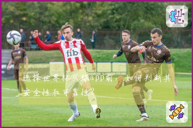 选择世界杯买球app前，如何判断其安全性和可靠性？