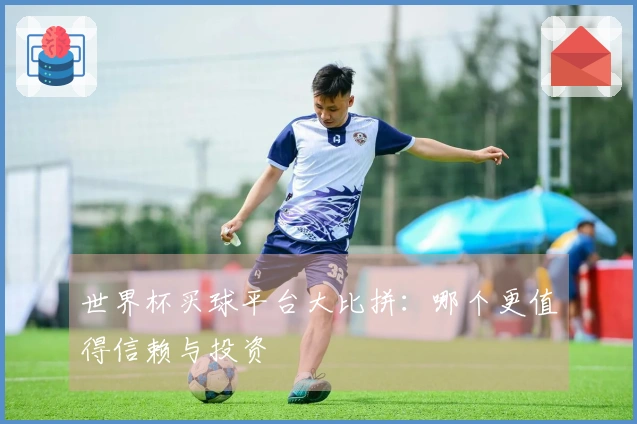 世界杯买球平台大比拼：哪个更值得信赖与投资