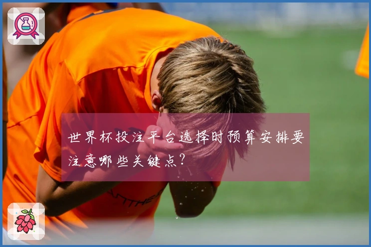 世界杯投注平台选择时预算安排要注意哪些关键点？