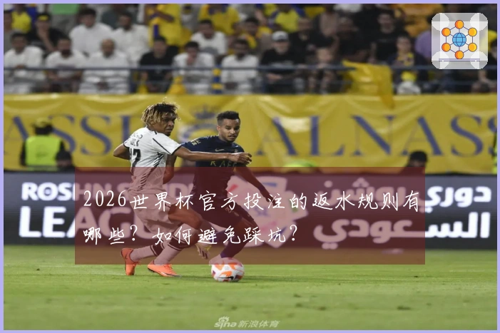 2026世界杯官方投注的返水规则有哪些？如何避免踩坑？
