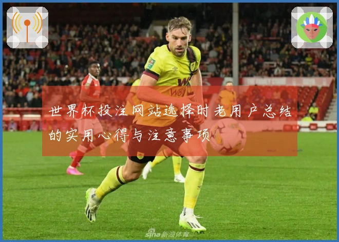 世界杯投注网站选择时老用户总结的实用心得与注意事项