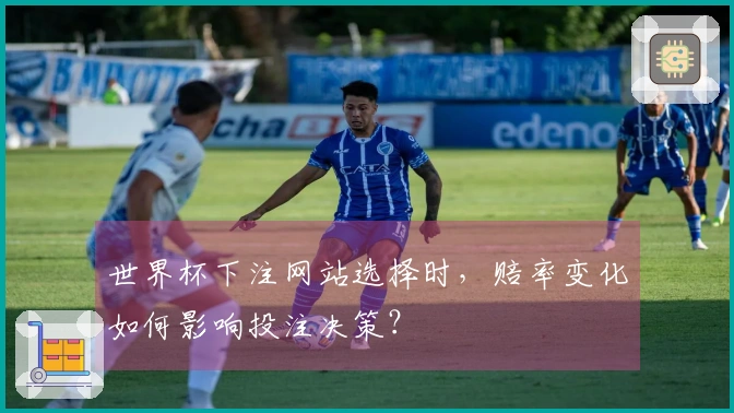 世界杯下注网站选择时，赔率变化如何影响投注决策？