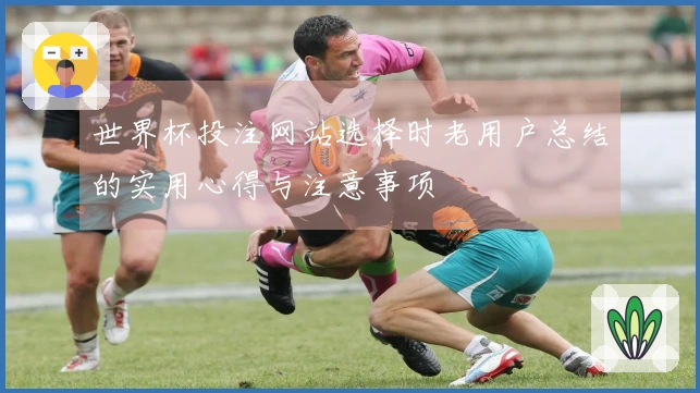 世界杯投注网站选择时老用户总结的实用心得与注意事项