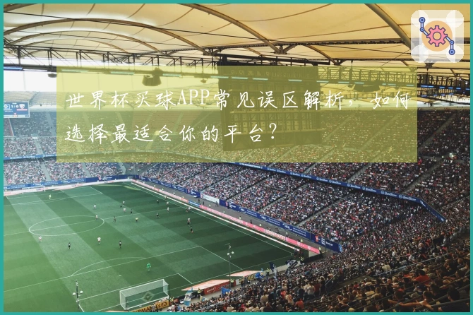 世界杯买球APP常见误区解析，如何选择最适合你的平台？