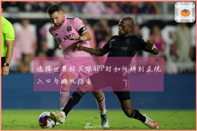选择世界杯买球APP时如何辨别正规入口与避坑指南