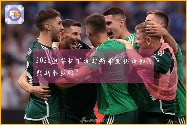 2026世界杯下注时赔率变化该如何判断和应对？