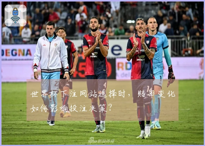 世界杯下注网站选择时，赔率变化如何影响投注决策？