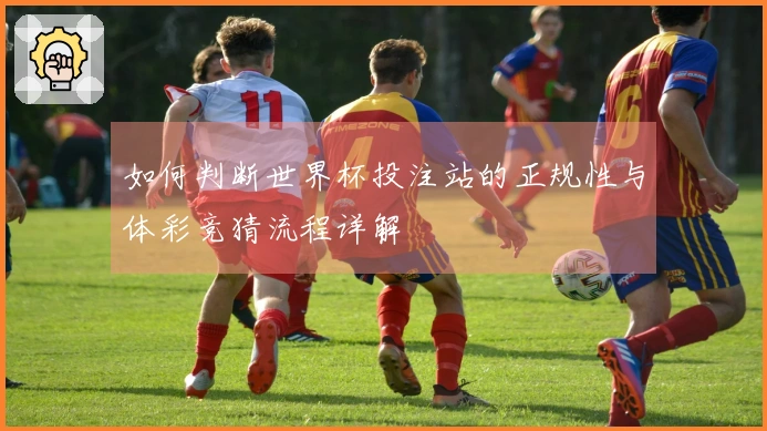 如何判断世界杯投注站的正规性与体彩竞猜流程详解