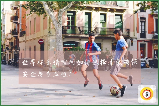 世界杯竞猜官网如何选择才能确保安全与专业性？