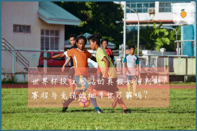 世界杯投注网站的真假如何判断？赛程与竞猜的细节你了解吗？