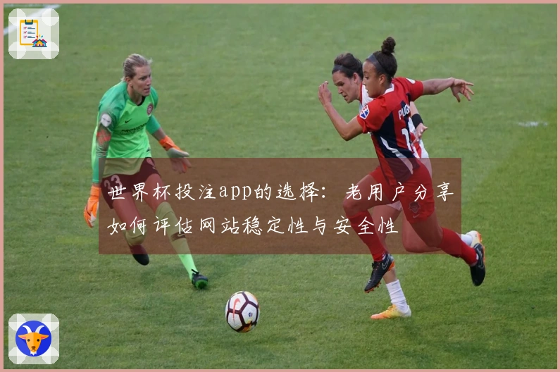 世界杯投注app的选择：老用户分享如何评估网站稳定性与安全性