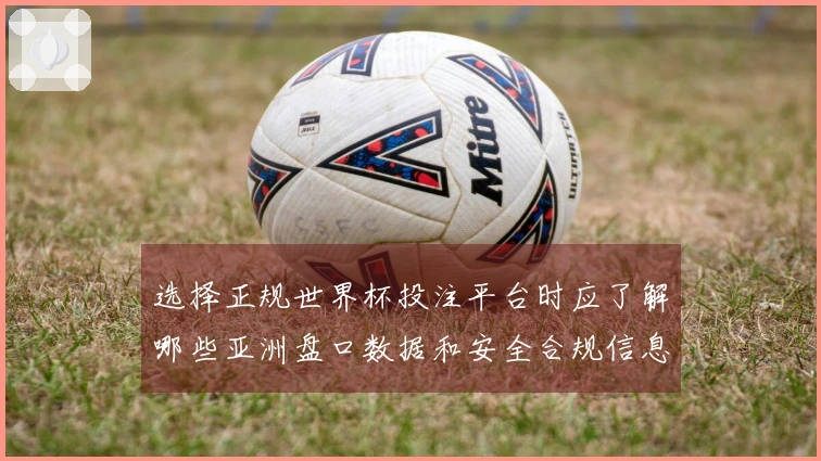 选择正规世界杯投注平台时应了解哪些亚洲盘口数据和安全合规信息