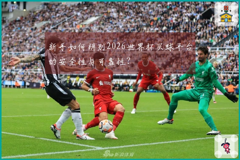 新手如何辨别2026世界杯买球平台的安全性与可靠性？