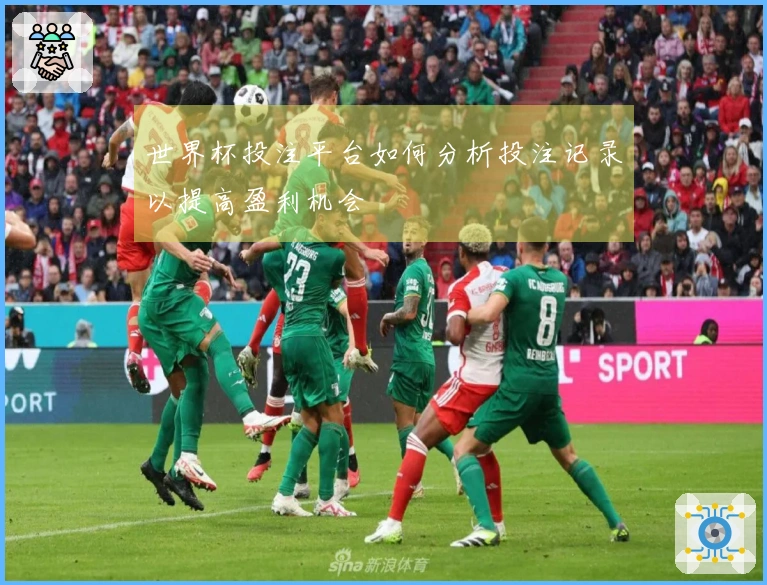 世界杯投注平台如何分析投注记录以提高盈利机会
