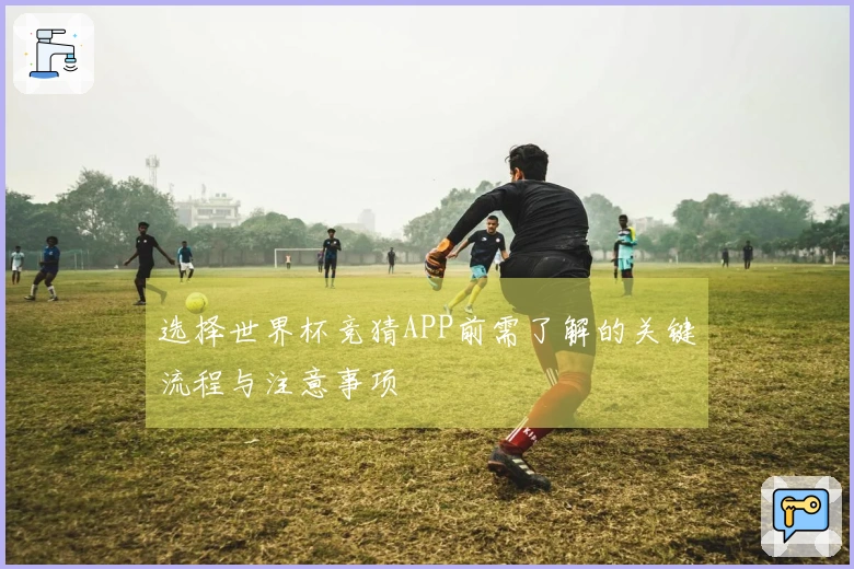 选择世界杯竞猜APP前需了解的关键流程与注意事项