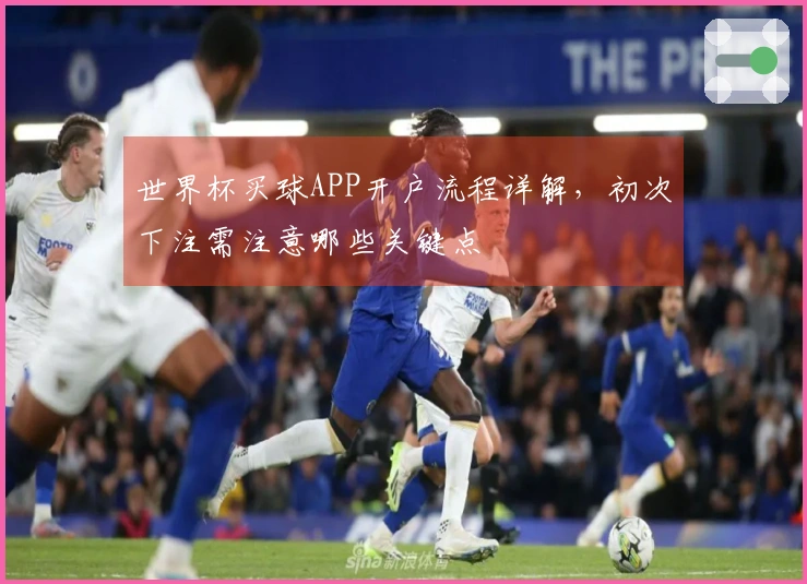 世界杯买球APP开户流程详解，初次下注需注意哪些关键点