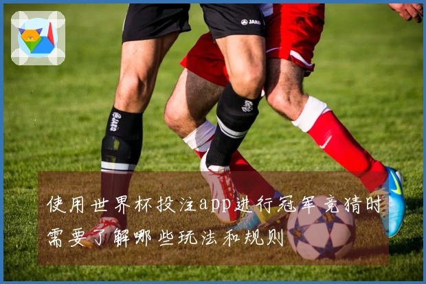 使用世界杯投注app进行冠军竞猜时需要了解哪些玩法和规则