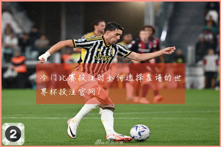 冷门比赛投注时如何选择靠谱的世界杯投注官网？