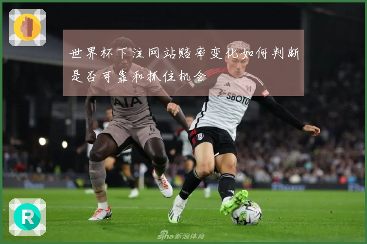世界杯下注网站赔率变化如何判断是否可靠和抓住机会