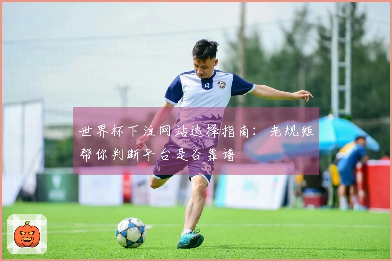 世界杯下注网站选择指南：老规矩帮你判断平台是否靠谱
