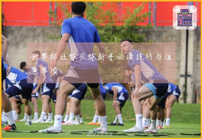 世界杯让球买球新手必读技巧与注意事项
