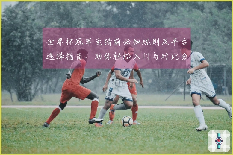 世界杯冠军竞猜前必知规则及平台选择指南，助你轻松入门与对比分析