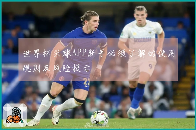 世界杯买球APP新手必须了解的使用规则及风险提示