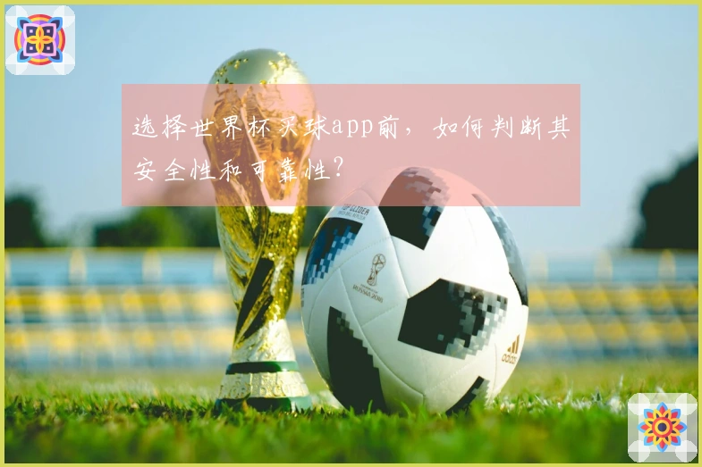 选择世界杯买球app前，如何判断其安全性和可靠性？
