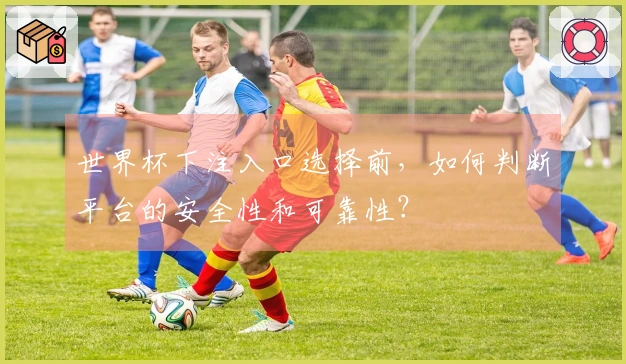 世界杯下注入口选择前，如何判断平台的安全性和可靠性？