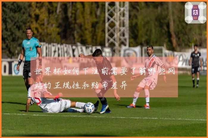世界杯如何下注前需要了解哪些网站的正规性和赔率差异