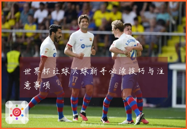 世界杯让球买球新手必读技巧与注意事项