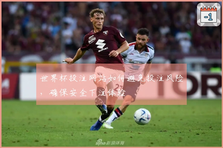 世界杯投注网站如何避免投注风险，确保安全下注体验