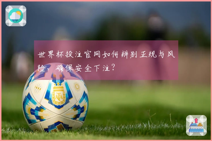 世界杯投注官网如何辨别正规与风险，确保安全下注？