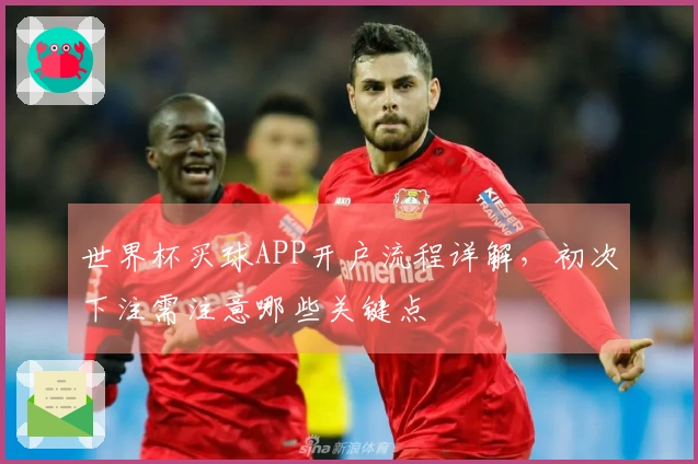 世界杯买球APP开户流程详解，初次下注需注意哪些关键点