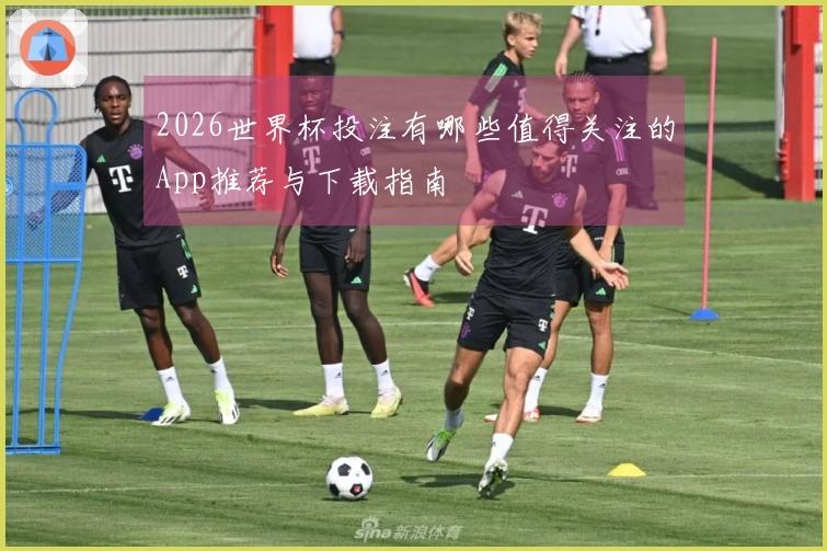 2026世界杯投注有哪些值得关注的App推荐与下载指南