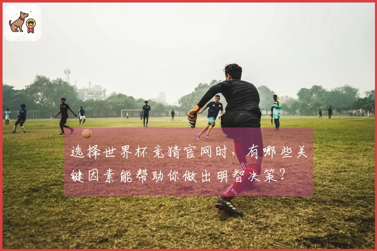 选择世界杯竞猜官网时，有哪些关键因素能帮助你做出明智决策？