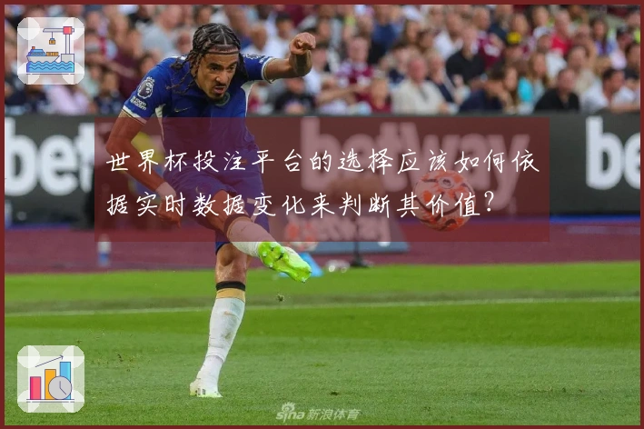 世界杯投注平台的选择应该如何依据实时数据变化来判断其价值？