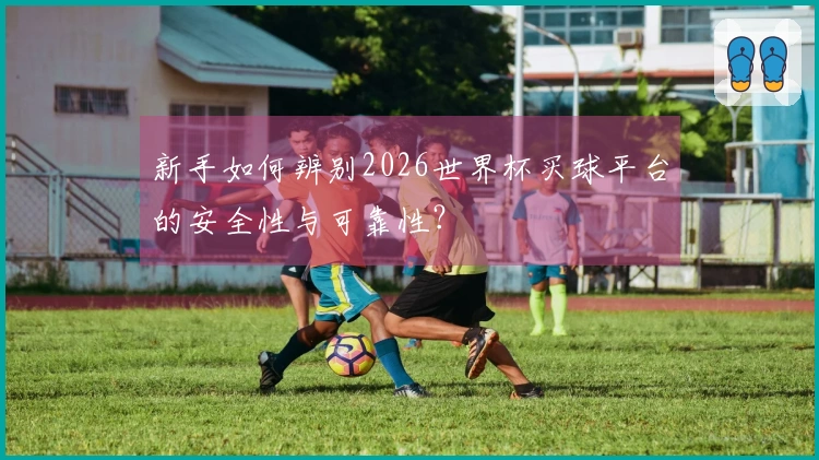 新手如何辨别2026世界杯买球平台的安全性与可靠性？